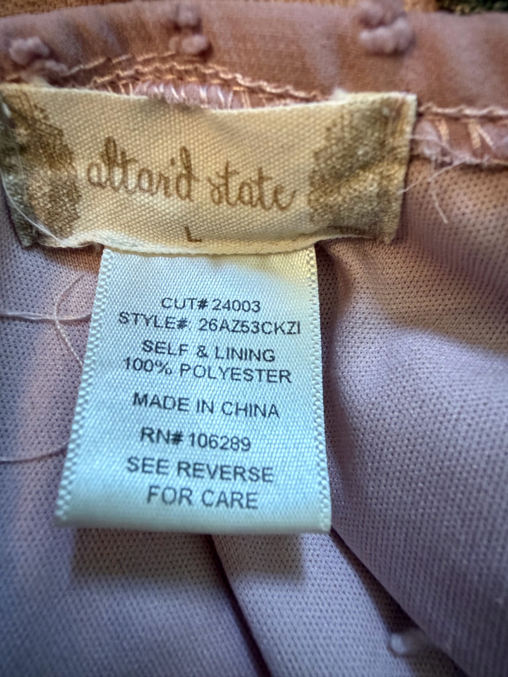 Altar’d State Swiss Dot Tiered Sundress - Picture 6 of 6